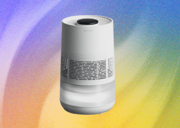 Our Favourite Humidifiers for Residence, Journey & Extra (2025)