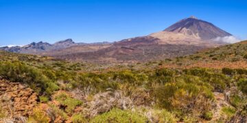 The Full Information to Tenerife Day Journeys: From Iconic Peaks to Hidden Gems