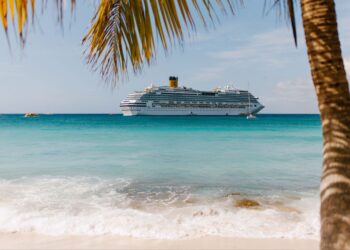 The Final Wellness Escape: 5 Methods a Cruise Trip Can Reset Your Well being and Decrease Stress