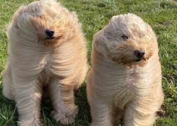 Have a Candy Weekend. | Cup of Jo