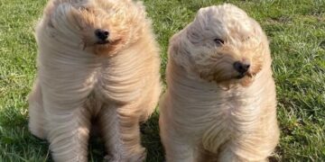 Have a Candy Weekend. | Cup of Jo