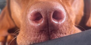 My “What’s Working” Listing: Fall Version