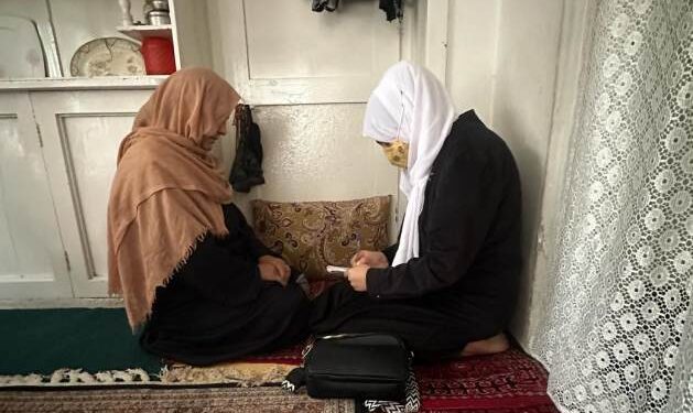 Ban on Ladies’ Training Linked to Rise in Compelled and Baby Marriage — International Points