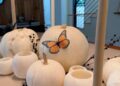 Lauryn’s Favourite Halloween Decor | The Skinny Confidential