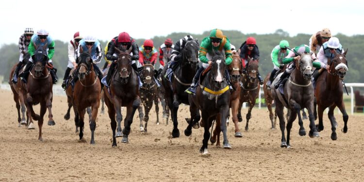 Right this moment on Sky Sports activities Racing: Newcastle and Yarmouth | Racing Information