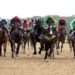 Right this moment on Sky Sports activities Racing: Newcastle and Yarmouth | Racing Information