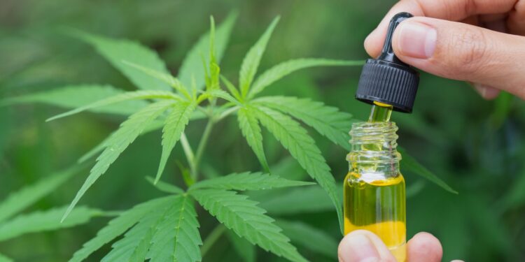 Hashish works for again ache, in new research : Photographs