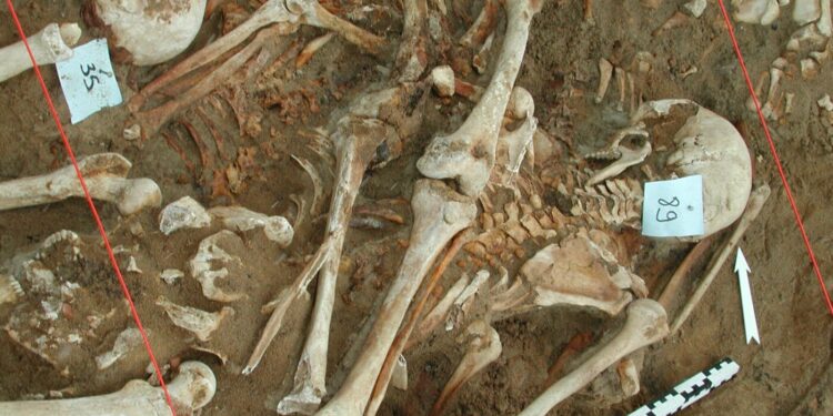 What killed Napoleon’s military? Scientists discover clues in DNA from fallen troopers’ enamel : Pictures