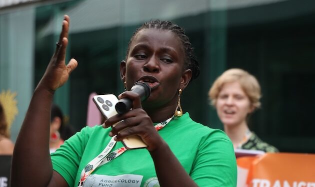 Shepherded by Anxious Safety in Humidity-fueled Warmth, Activists Plead for Local weather Justice — International Points