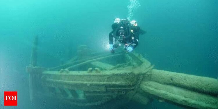 Why the UAE intentionally sank 3 ships: Is it good for the ocean’s ecosystem? | World Information