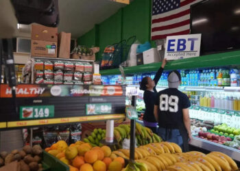 US shutdown: Document impasse ends, however new Republican regulation set to strip hundreds of thousands from SNAP advantages