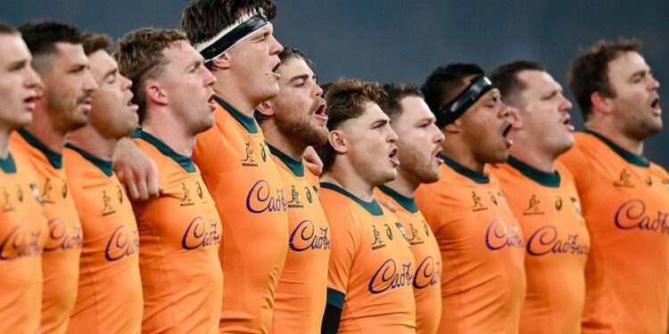 Wallabies Spring Tour report card, Australia evaluation, Joe Schmidt future, information
