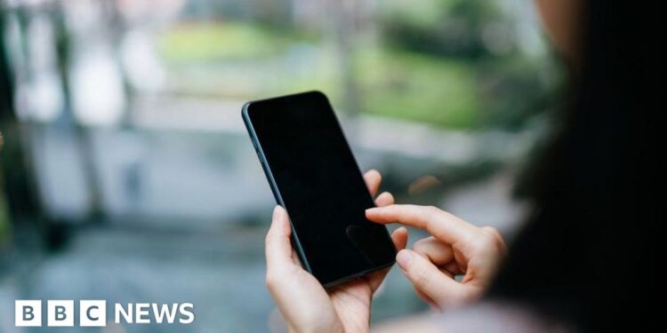 Safety issues over system at coronary heart of digital ID