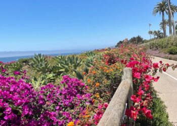 The place to Keep, Eat, & Store