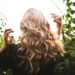 From Roots to Suggestions: A Full Information to Beautiful Hair Care