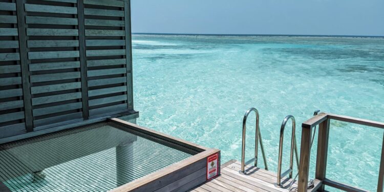 Which Lodge Free Evening Certificates Is the Most Highly effective?