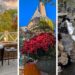 Milford, PA: Your Excellent Fall Getaway within the Poconos