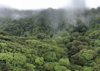 High Costa Rica Journey Errors for First-Time Guests (&  Keep away from Them)