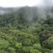 High Costa Rica Journey Errors for First-Time Guests (& Keep away from Them)