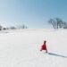 A Very Low-Key Winter Guidelines
