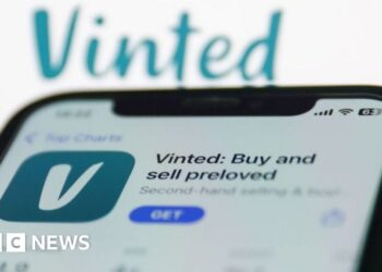 France investigating Vinted over alleged hyperlinks to pornographic content material