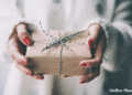 2025 Christmas Presents for Her (89+ Concepts She’ll Love!)