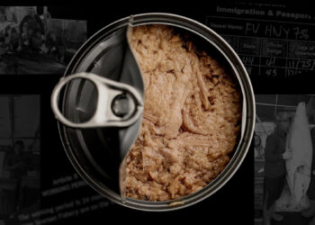 The darkish reality behind grocery store tuna