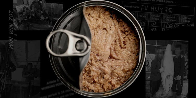 The darkish reality behind grocery store tuna