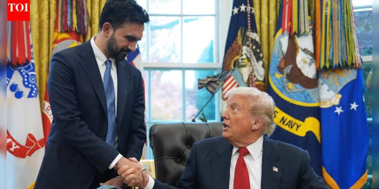 ‘Wow’: When Trump informed Mamdani ‘You’re even higher wanting in individual than you might be on TV’