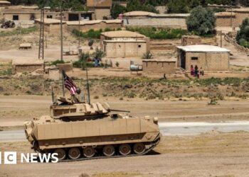 Three Individuals killed by IS gunman in Syria, US army says
