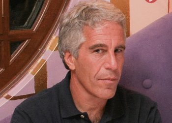 Trump urges launch of Epstein information to ‘embarrass’ Democrats — RT World Information