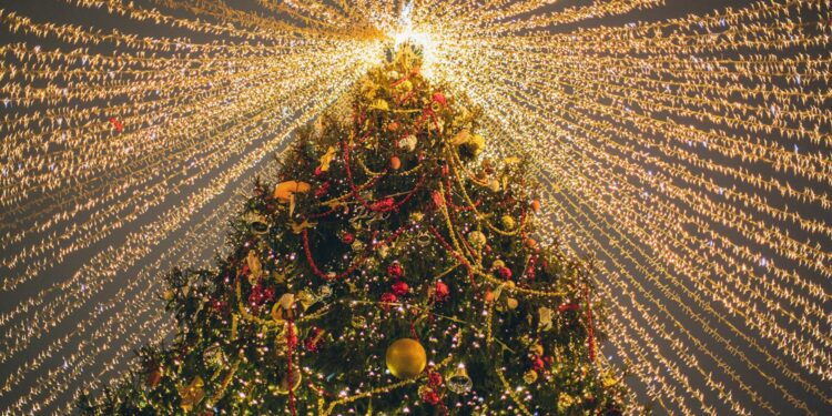 Christmas Mild Shows in Wilmington Delaware