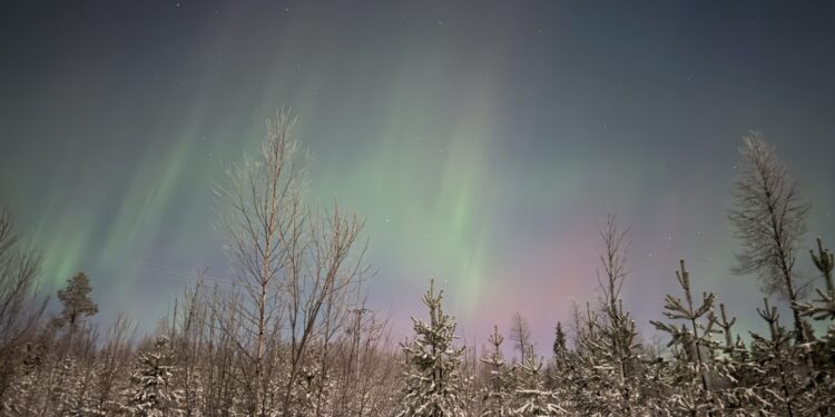 Lapland With Children: A Magical Journey
