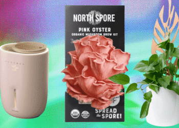 The 17 Greatest Items for Plant Lovers We’d Purchase Ourselves (2025)
