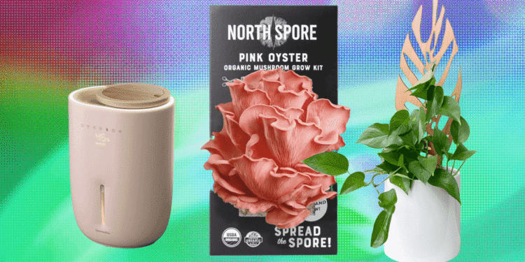 The 17 Greatest Items for Plant Lovers We’d Purchase Ourselves (2025)