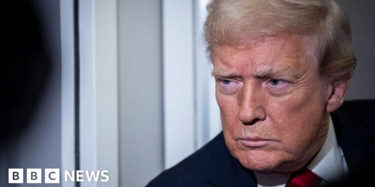 Trump releases fraudster government days into jail sentence