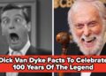 Stunning Dick Van Dyke Info You By no means Knew