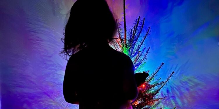 Does Anybody Else Have ‘Ornament Guilt’?