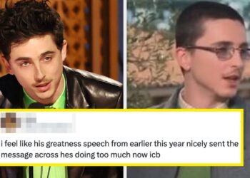 Timothée Chalamet Interview Seemingly Deleted After Backlash