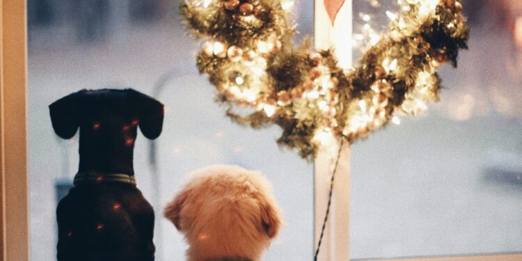 The Fragile Coronary heart’s Information To Surviving the Holidays