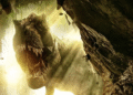 JURASSIC PREDATOR Actually trashy Brit dinosaur flick – free on-line