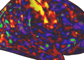 ADHD medication could increase arousal greater than consideration : Pictures