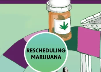 Did President Trump solely assist medical hashish with rescheduling?