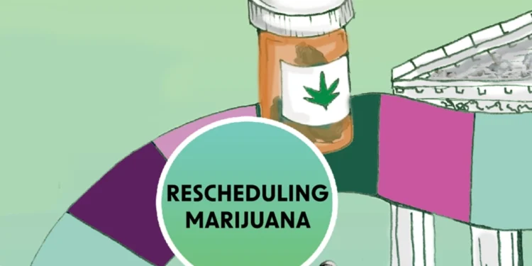 Did President Trump solely assist medical hashish with rescheduling?