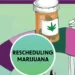 Did President Trump solely assist medical hashish with rescheduling?