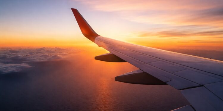 A Yr in Journey and Loyalty: 2025 in Assessment