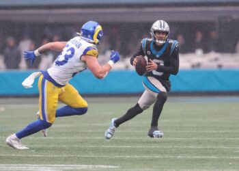 Panthers declare NFC South, crash playoffs with shedding document once more