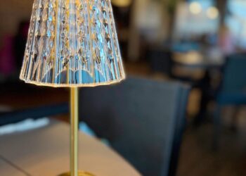 Our First Amazon Purchases of the Yr