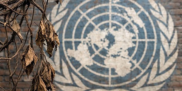 A US Retreat from International Governance — International Points