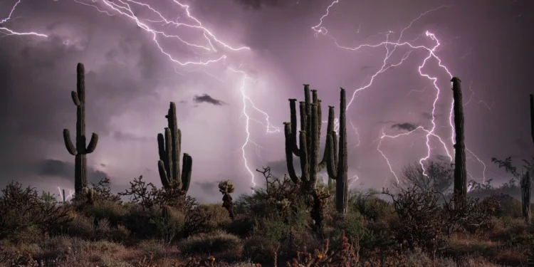 Trump Republicans again Arizona adult-use hashish gross sales repeal